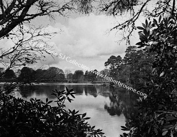 LAKE WITH TREES